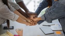 cultura e clima organizacional