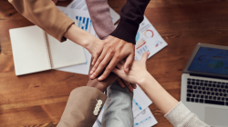 desafios de gestão de equipes