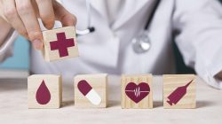 gestão de sinistros