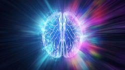 the-human-brain-on-a-blue-background-the-hemisphere-is-responsible-for-logic (1)